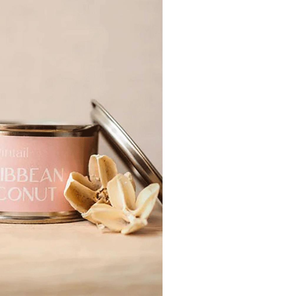 Pintail Candles Caribbean Coconut Paint Pot Candle Extra Image 3